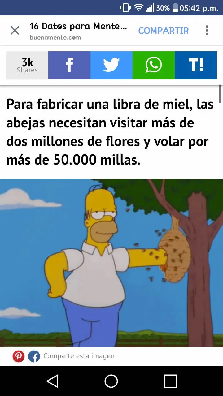 taringa