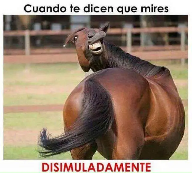 linces