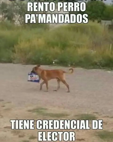 taringa