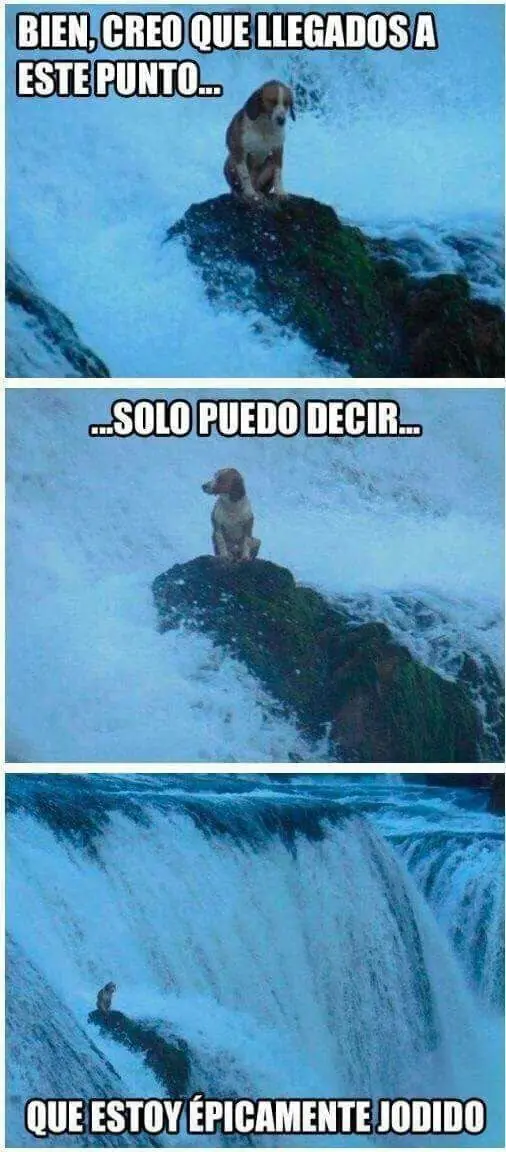 reir