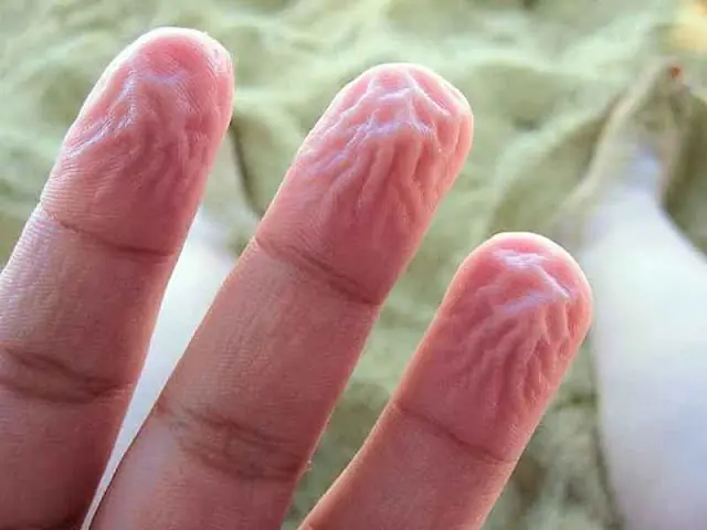 8 Alertas de tu cuerpo que te da cuando estas en peligro. 8 Alertas de tu cuerpo que te da cuando estas en peligro.
