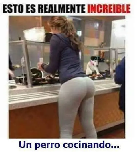 humor
