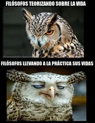 memes