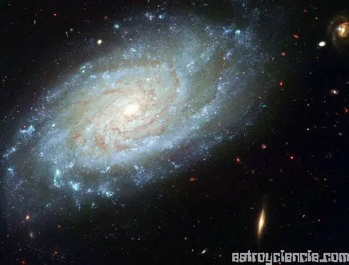 Universo