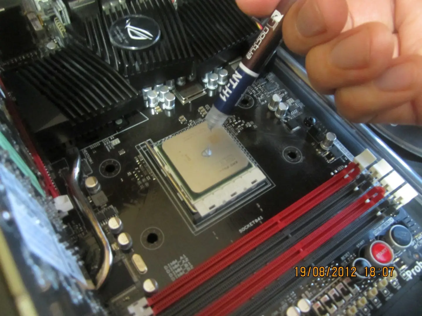 amd amd