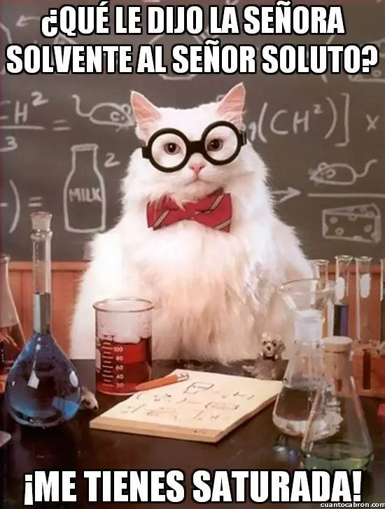 Humor inteligente y 100tifiko