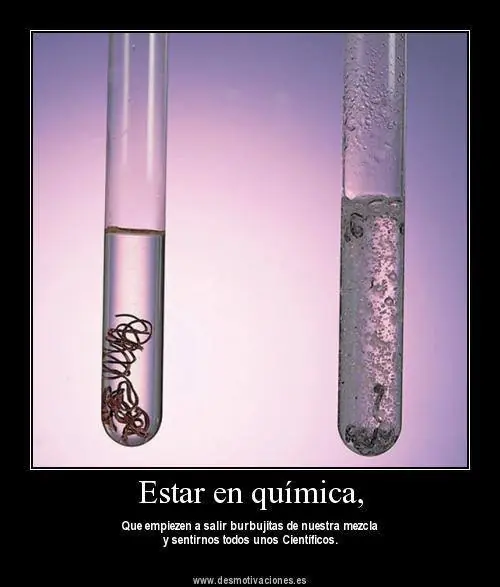 Humor inteligente y 100tifiko