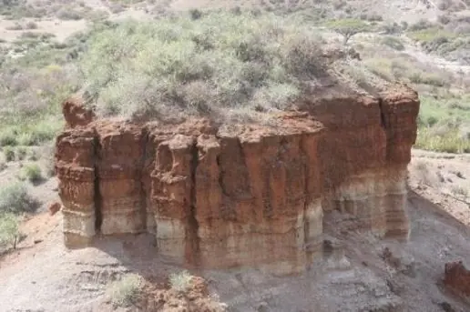 Los diez descubrimientos históricos más sorprendentes Los diez descubrimientos históricos más sorprendentes