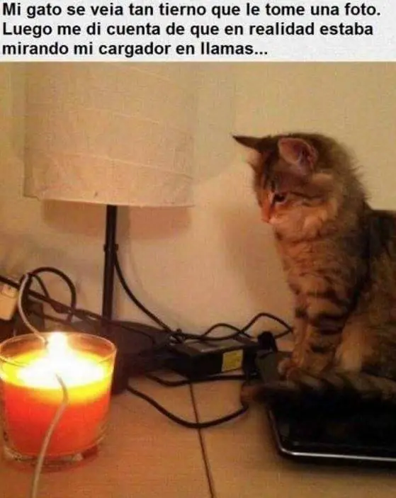 Imagenes de humor