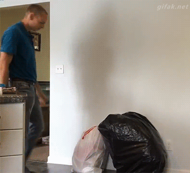 Gifs Gifs