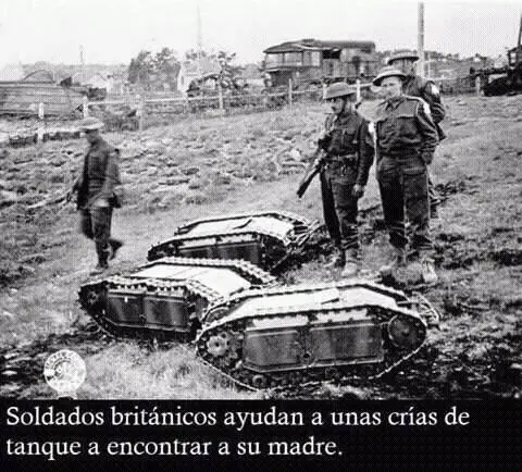 graciosas