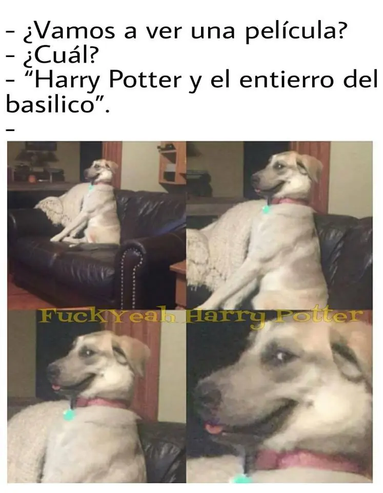 imagenes