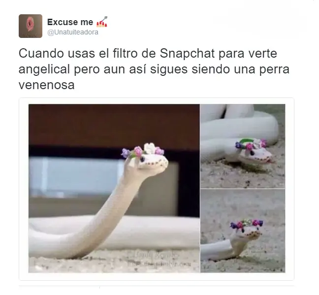 imagenes
