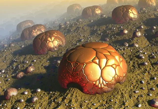 sacudiran