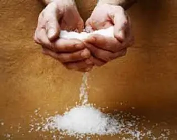 Curiosidade Curiosidade