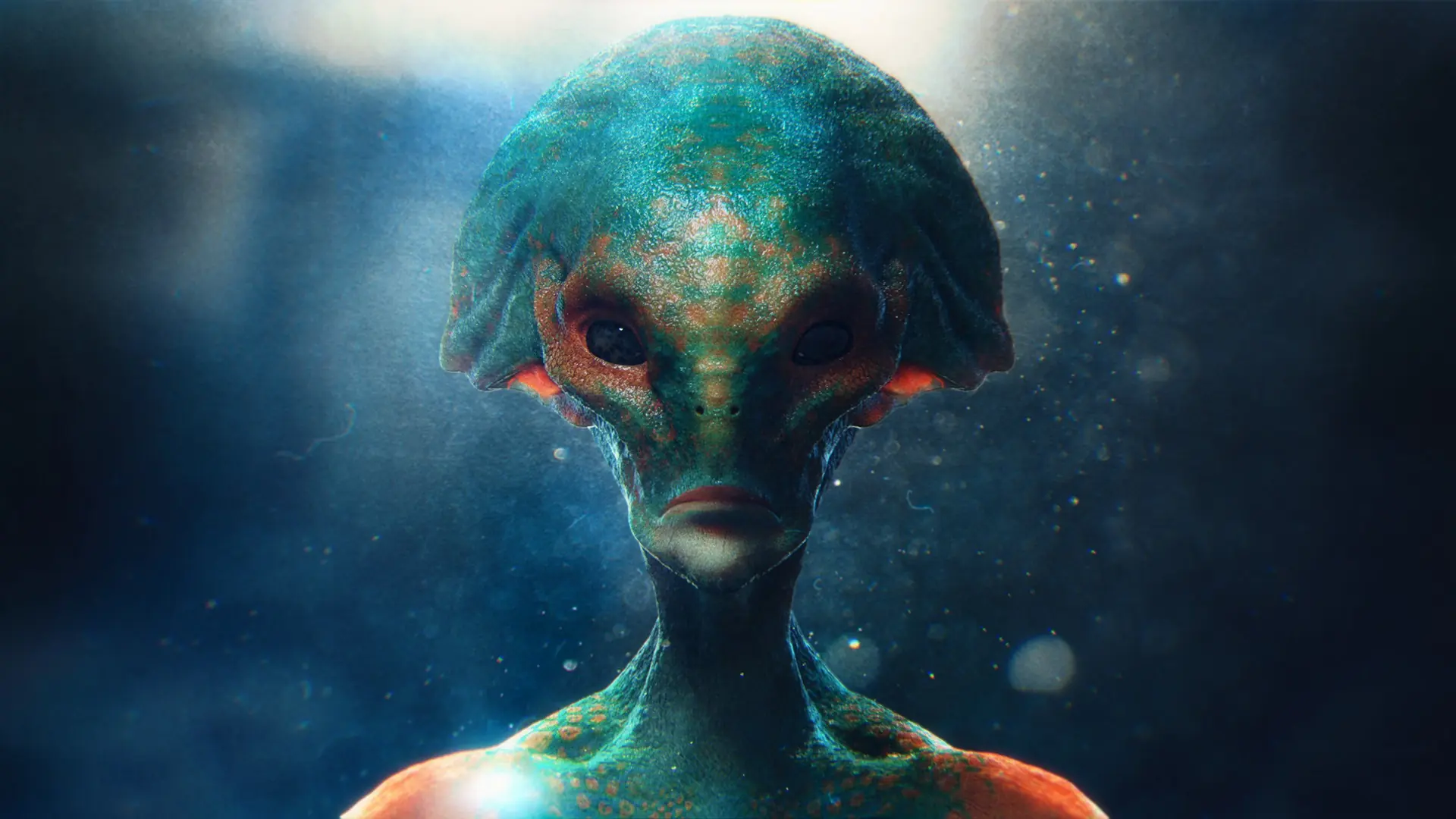 ovnis