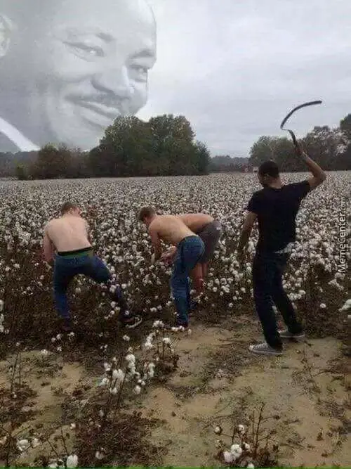 fotos de humor