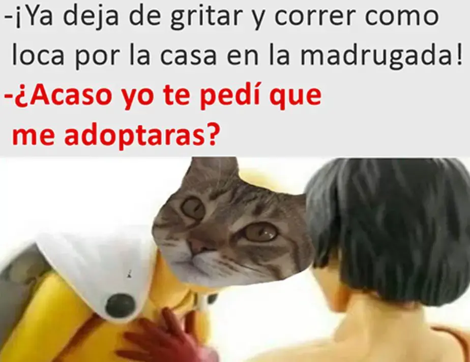 sarcasticos