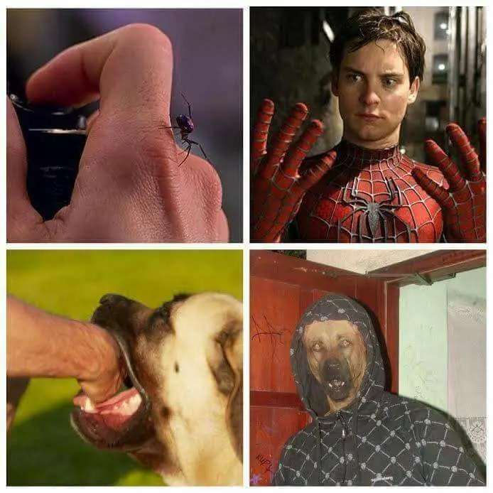 Humor loco para reír, recolección de imágenes WTF nº78