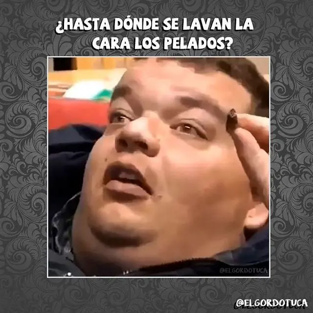 Gordotuca