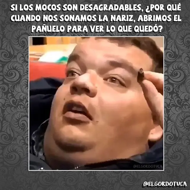 gordo