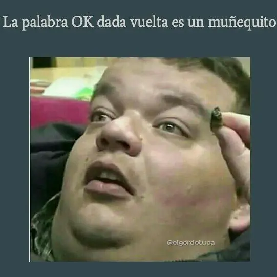 Gordotuca