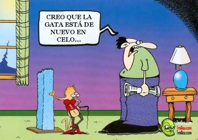 risas