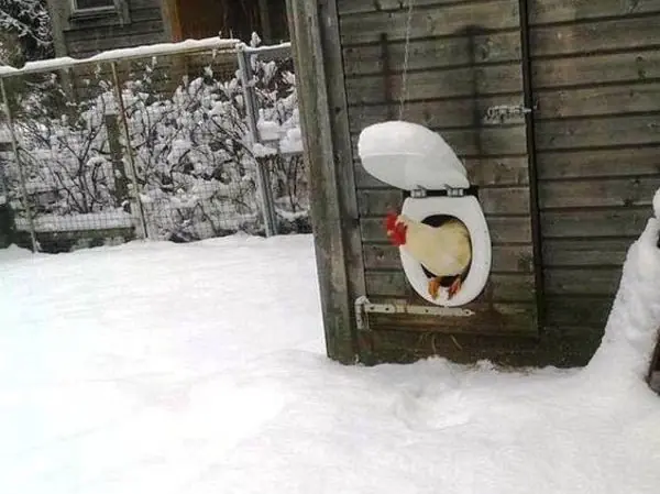 humor