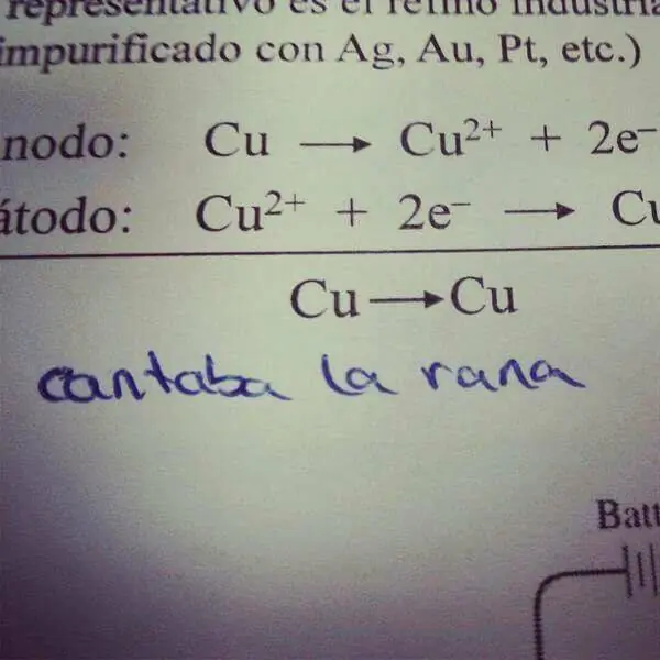 humor taringuero