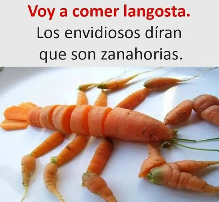 Imágenes de humor nocturno parte 201