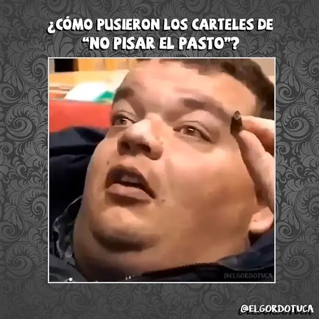 risa
