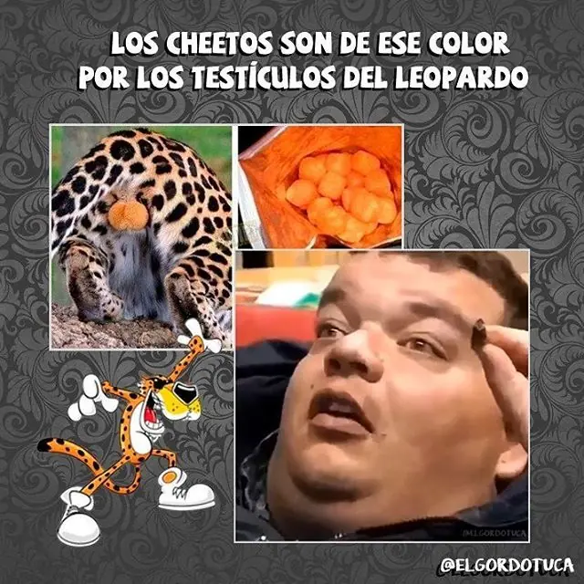 Imagenes del gordo tuca
