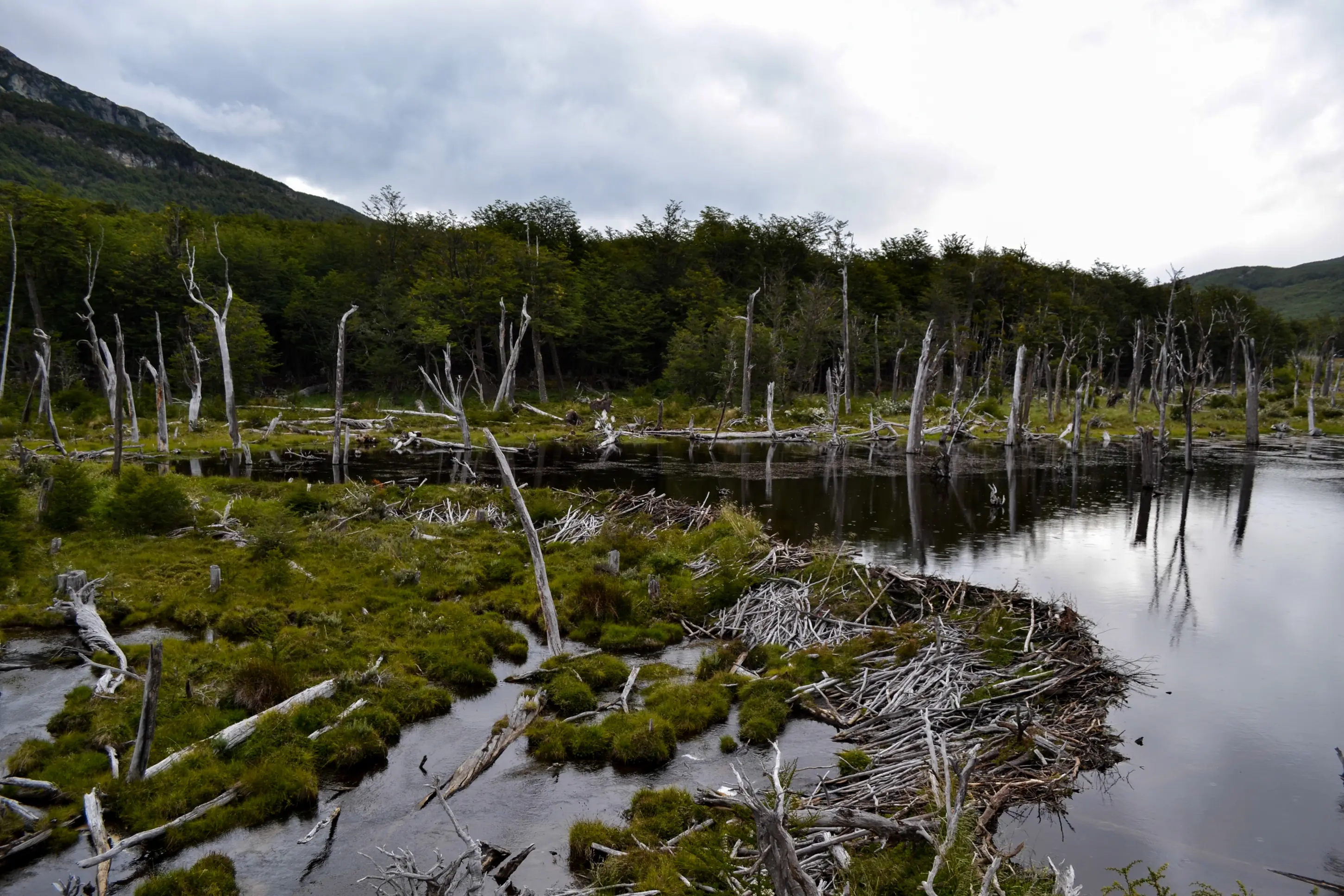 Fotografías de mi viaje por Sudamérica