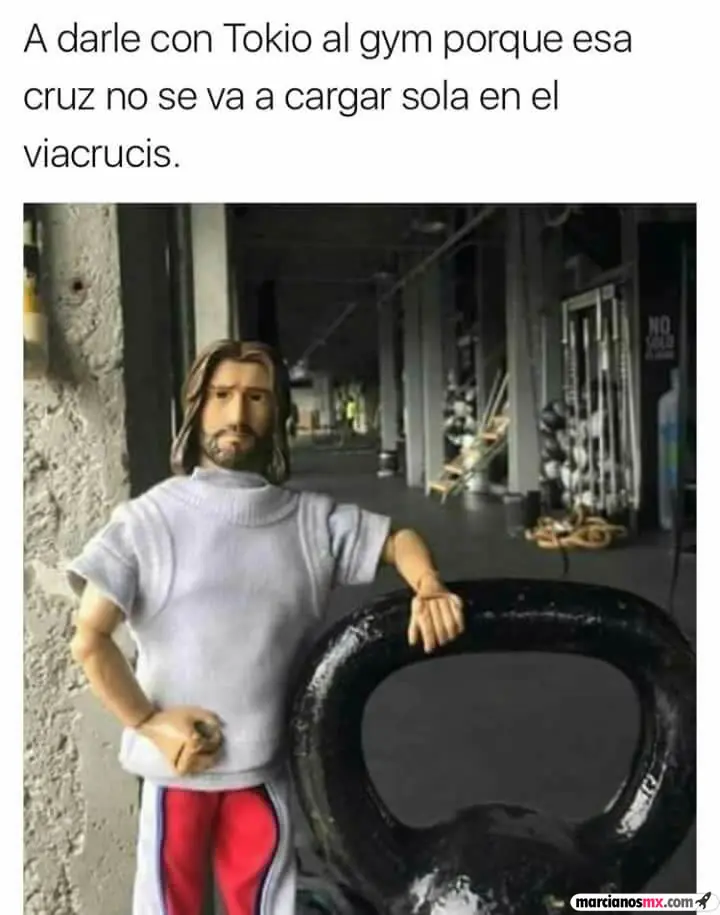 Humor WTF para la mañana matutina