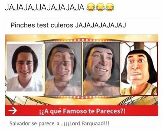 WTF