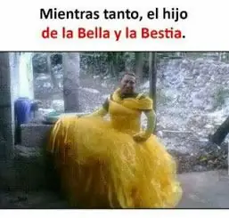 Humor
