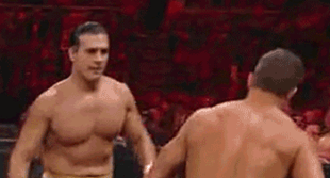 Los gif mas locos de la lucha libre profesional!