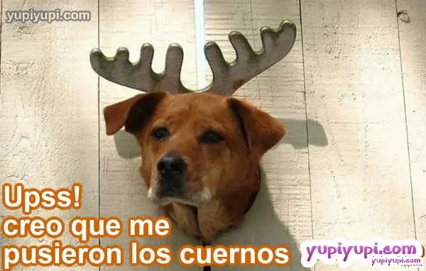 pareja