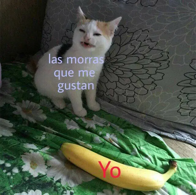 humor