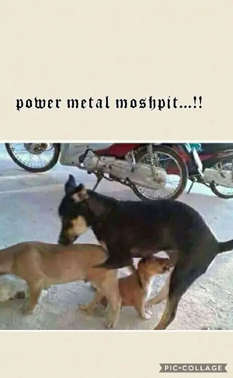 humor thrash