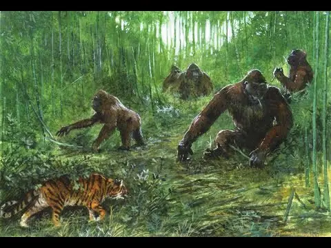 King Kong King Kong