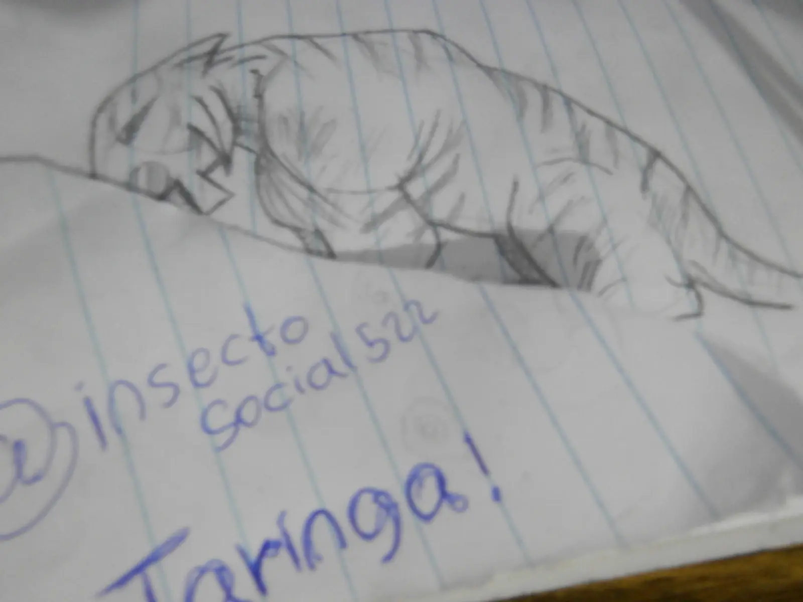pasate