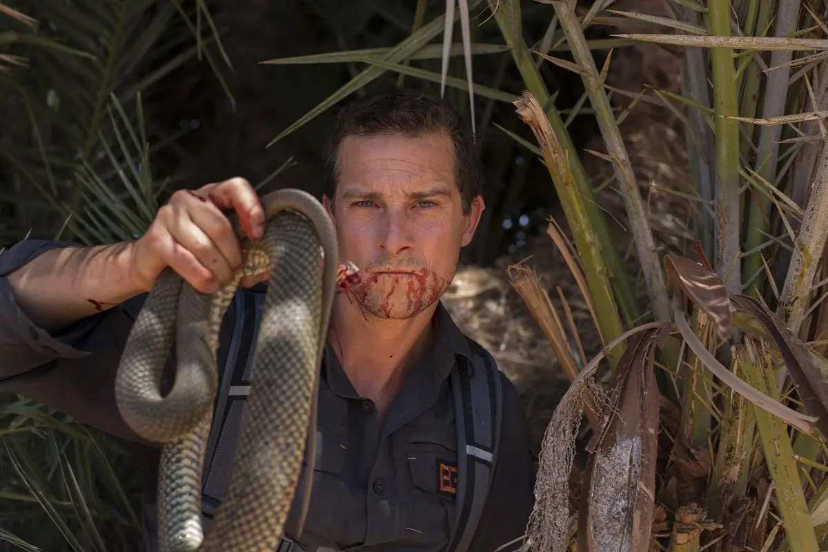 [Nos chamuyan] Reality shows que son falsos Rick