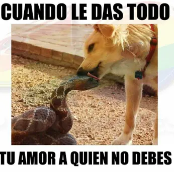 Humor de Lunes