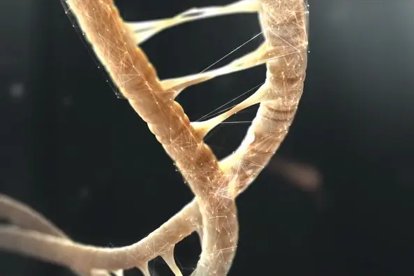 Historia del ADN: el lenguaje de la vida