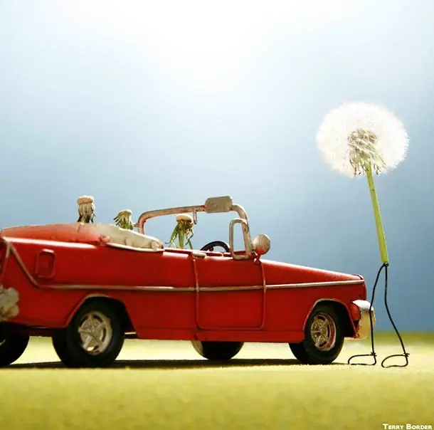 AlambrArte, el humor border de Terry - Parte II