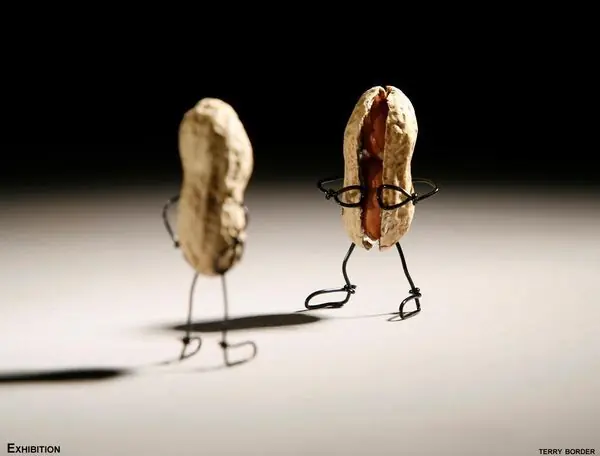 AlambrArte, el humor border de Terry - Parte II