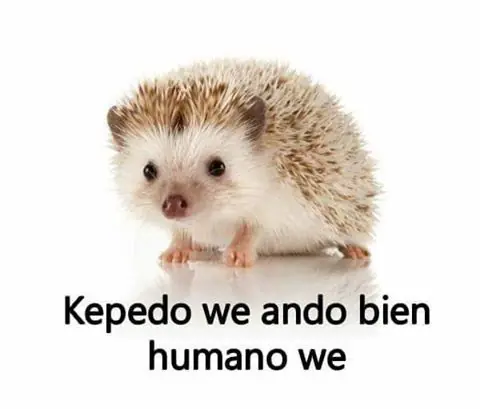 Lo mejor del humor mexicano parte 118