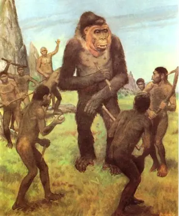 extincion extincion