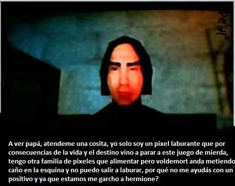harry potter